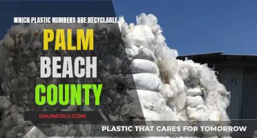 Recycling in Palm Beach: Which Plastics are Accepted?
