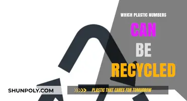 Decoding Recyclable Plastics: A Guide to Sustainable Disposal