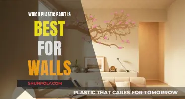 Best Plastic Paints for Walls: Choose the Perfect One