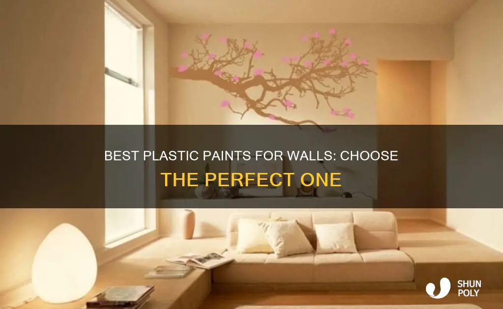 which plastic paint is best for walls