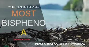 Plastics Leaking Bisphenol A: What's the Worst Offender?