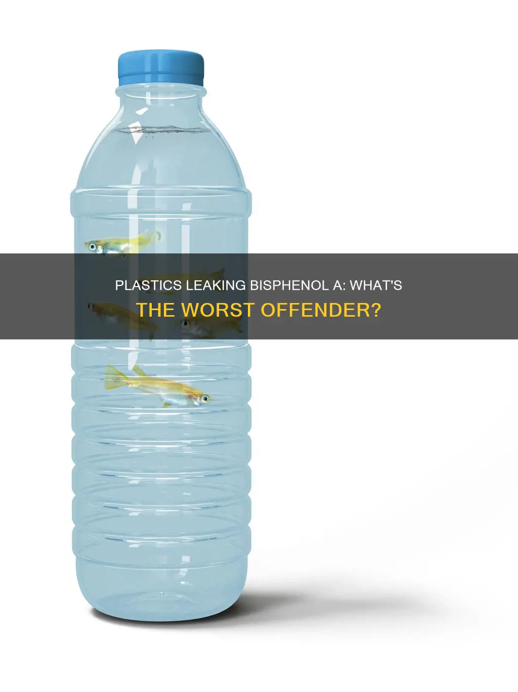 which plastic releases most bisphenol a
