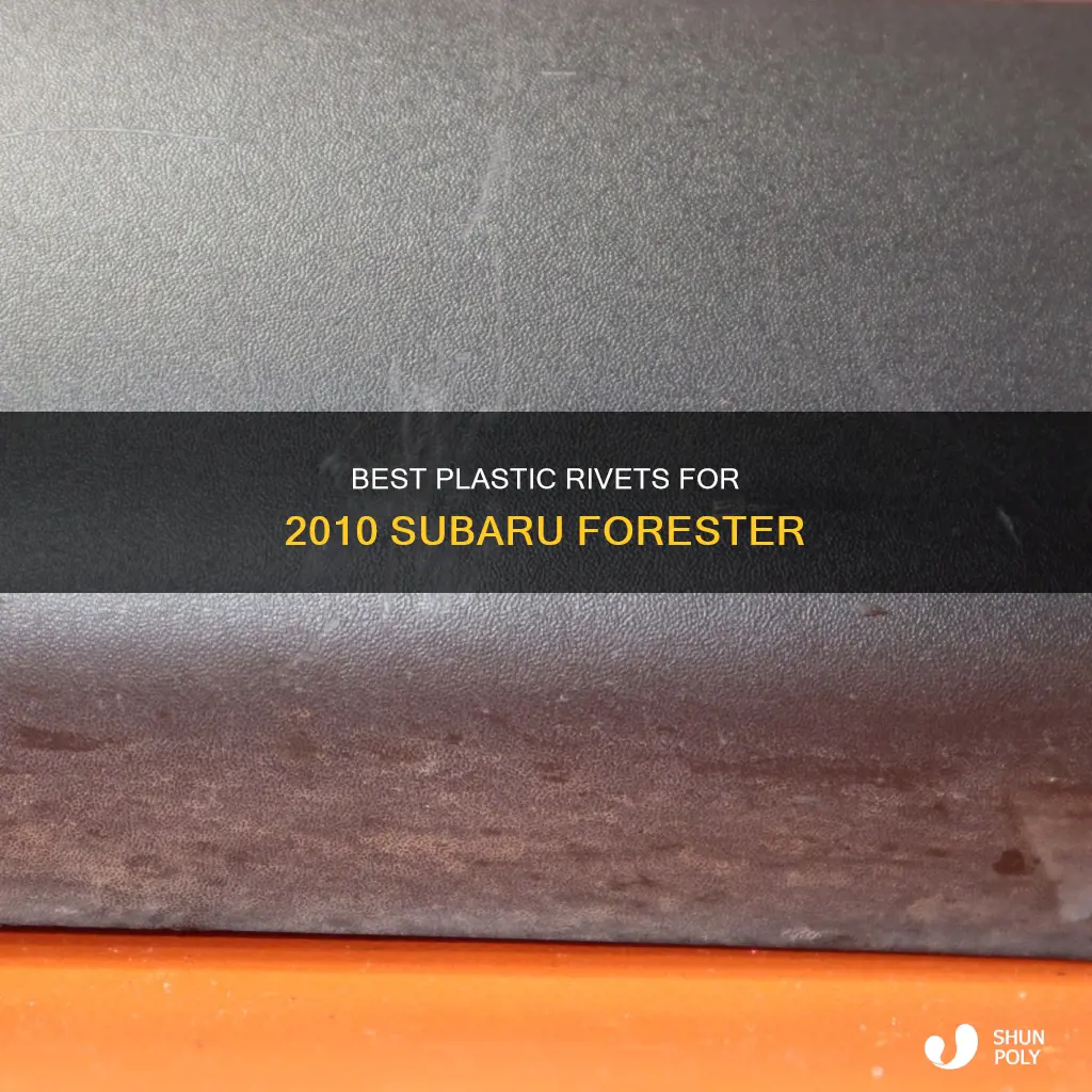 which plastic rivets for 2010 forester