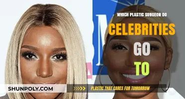 Top Celebrity Plastic Surgeons: Who Sculpts Hollywood's Elite Faces?