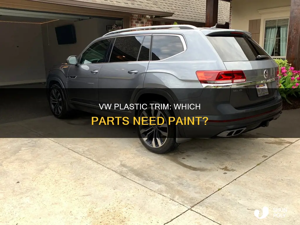 which plastic trim parts of a vw are painted