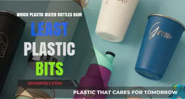Safer Sips: Discovering Water Bottles with Minimal Plastic Particles