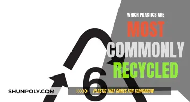 Recycling Plastics: What Types Are Most Commonly Recycled?