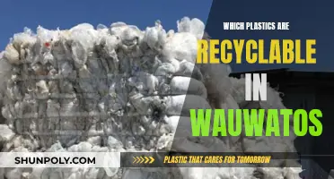 Recycling in Wauwatosa: What Plastics Are Accepted?