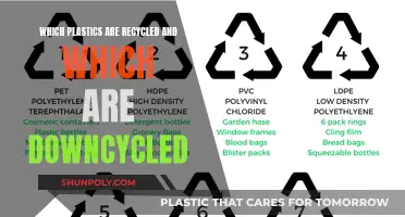 The Complex Truth About Plastic Recycling and Downcycling
