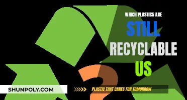 Recyclable Plastics: What's Still Accepted in the US?