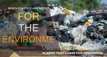 Plastics' Worst Offenders: Harming Our Planet the Most