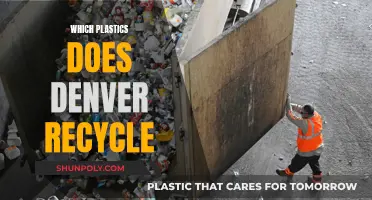 Denver's Guide to Plastic Recycling: What's Accepted?