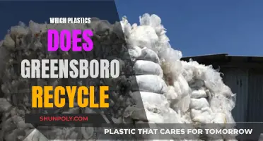 Greensboro's Guide to Plastic Recycling: What's Accepted?