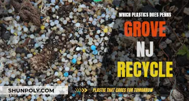 Recycling in Penn's Grove: Which Plastics Make the Cut?