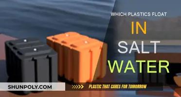 Salt Water and Plastics: What Floats?