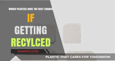Recycling Potential: Identifying Plastics Most Likely to Be Recycled