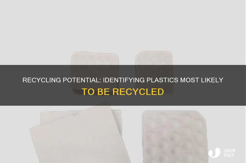 which plastics have the best chance if getting recylced