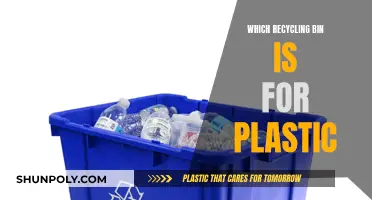 Plastic Recycling: Understanding the Right Bin for Plastics