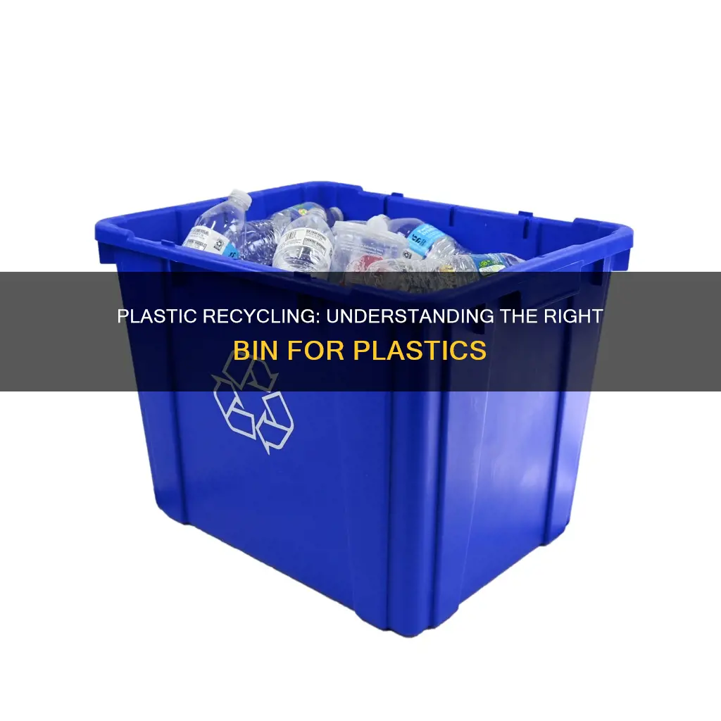 which recycling bin is for plastic