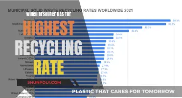 Unveiling the Champion: Resource Recycling Rates Revealed