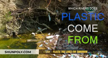 Plastic Pollution: Rivers in the Spotlight