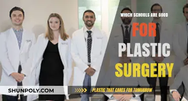 Top Schools for Plastic Surgery: Best Programs and Training