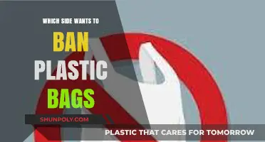 Plastic Bag Bans: Which Side Advocates for Environmental Change?