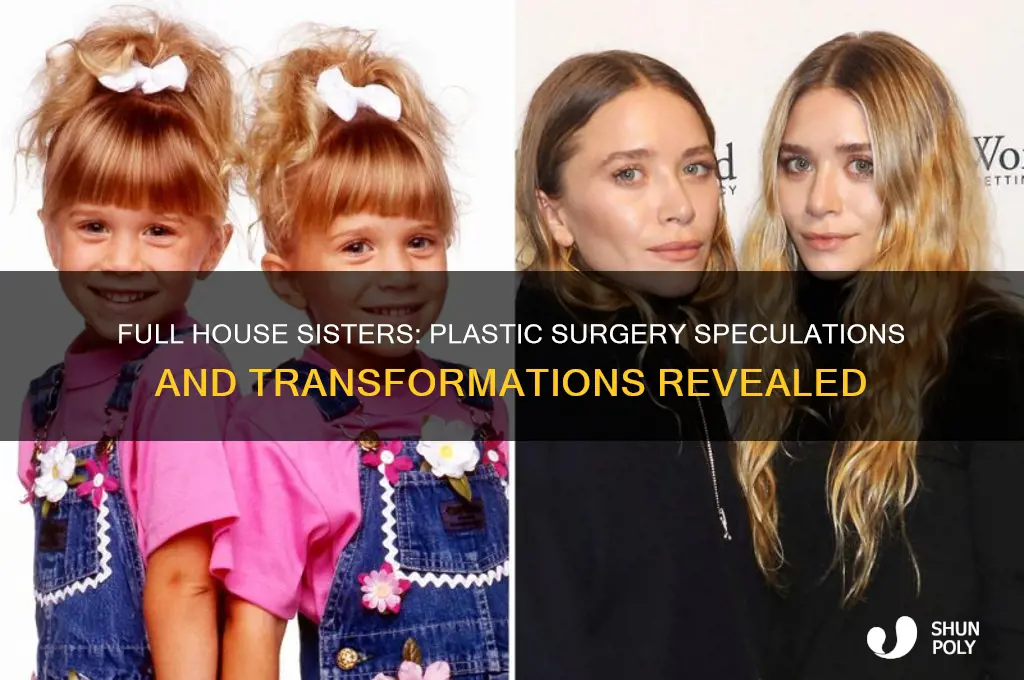 which sister from full house had plastic surgery