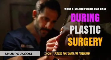 Stars' Tragic Losses: Parents Who Died During Plastic Surgery