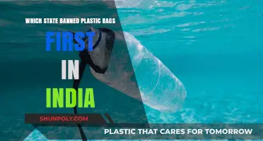 India's Plastic Bag Ban Pioneer: Which State Led the Way?