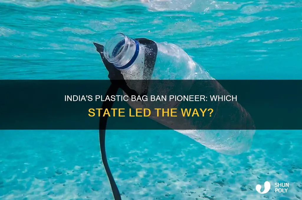 which state banned plastic bags first in india