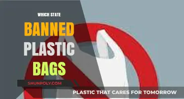 Plastic Bag Bans: Which U.S. State Took the Lead?