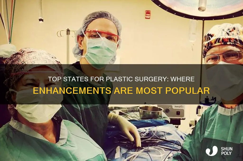 which state has high in plastic surgery
