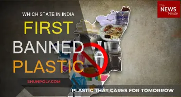 The Green State: India's First Plastic Ban