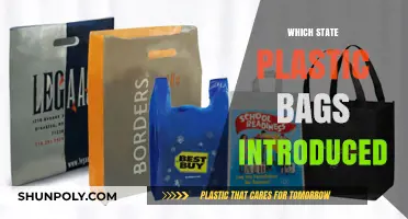 The Surprising Origin of Plastic Bags: A State's Legacy