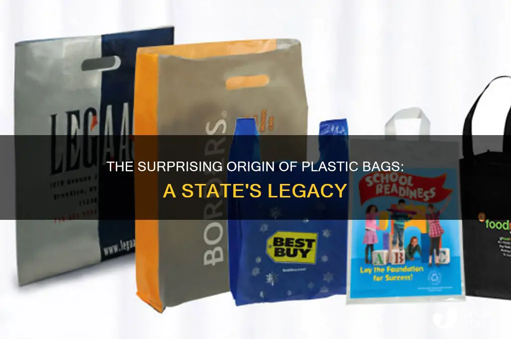 which state plastic bags introduced