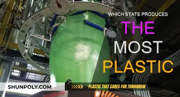 Plastic Production: Which State is the Worst Offender?