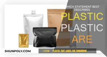 The Everlasting Plastic Problem