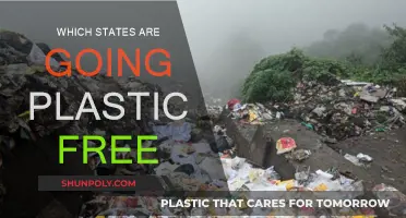 States Leading the Way in Plastic-Free Revolution