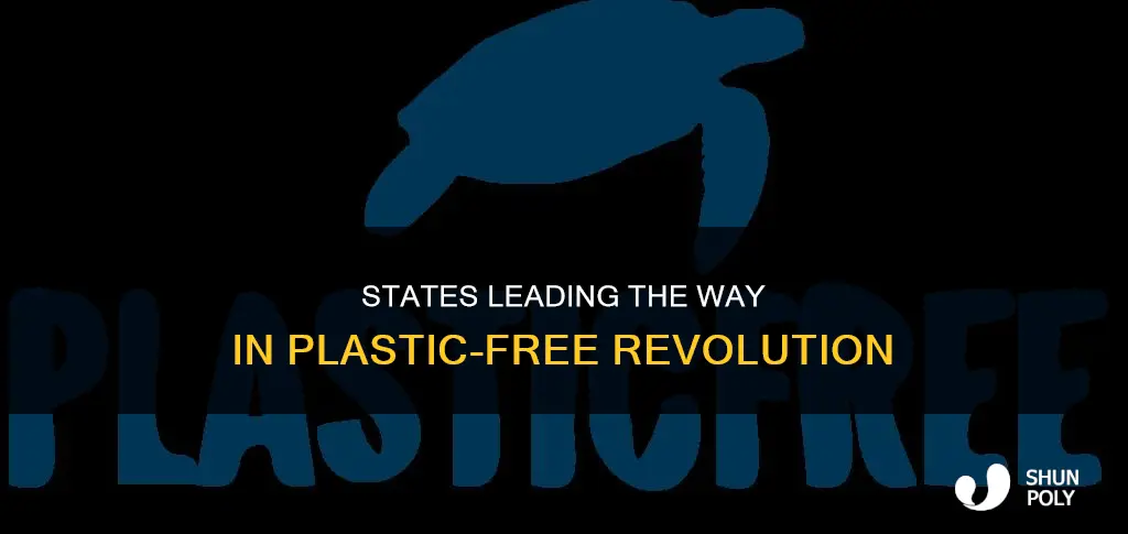 which states are going plastic free