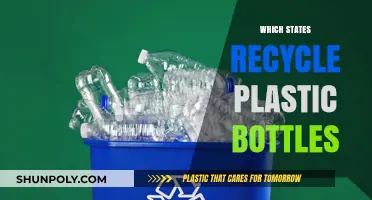 Discover Which U.S. States Lead in Recycling Plastic Bottles