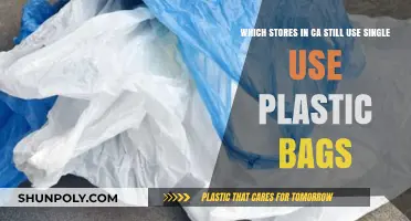 California's Single-Use Plastic Bag Holdouts: Which Stores Still Use Them?