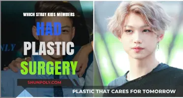 Stray Kids Plastic Surgery: Members' Transformations and Rumors Explored