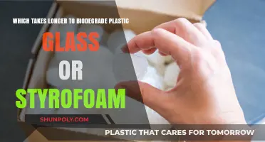 Unraveling the Biodegradation Mystery: Plastic, Glass, or Styrofoam?