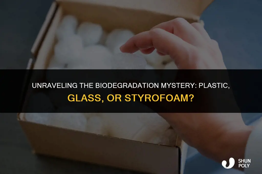 which takes longer to biodegrade plastic glass or styrofoam
