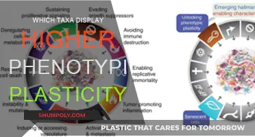 Phenotypic Plasticity: Unlocking Secrets of Taxa Diversity