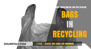 Recycling Plastic Bags: Which Trash Bin Should You Use?