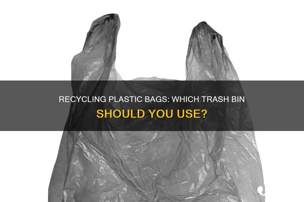 which trash bin do you put plastic bags in recycling