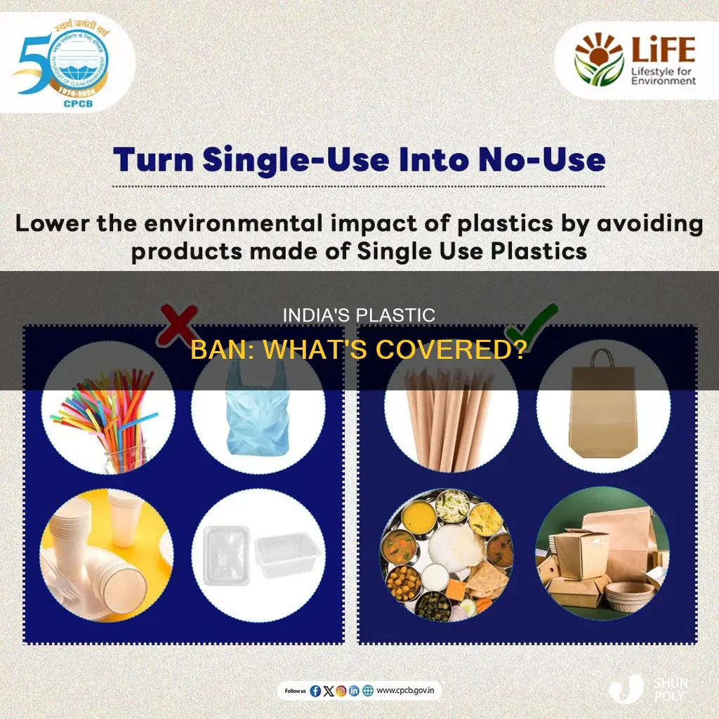 which type of plastic ban in india