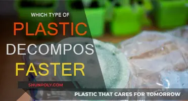Plastic Decomposition: What Factors Affect Biodegradation?